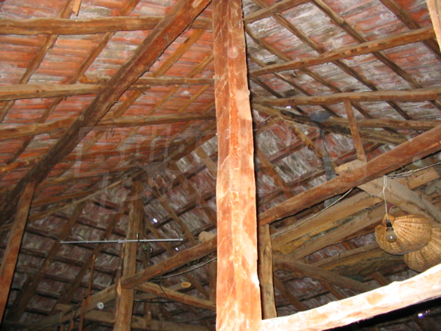 Gallery Picture 12