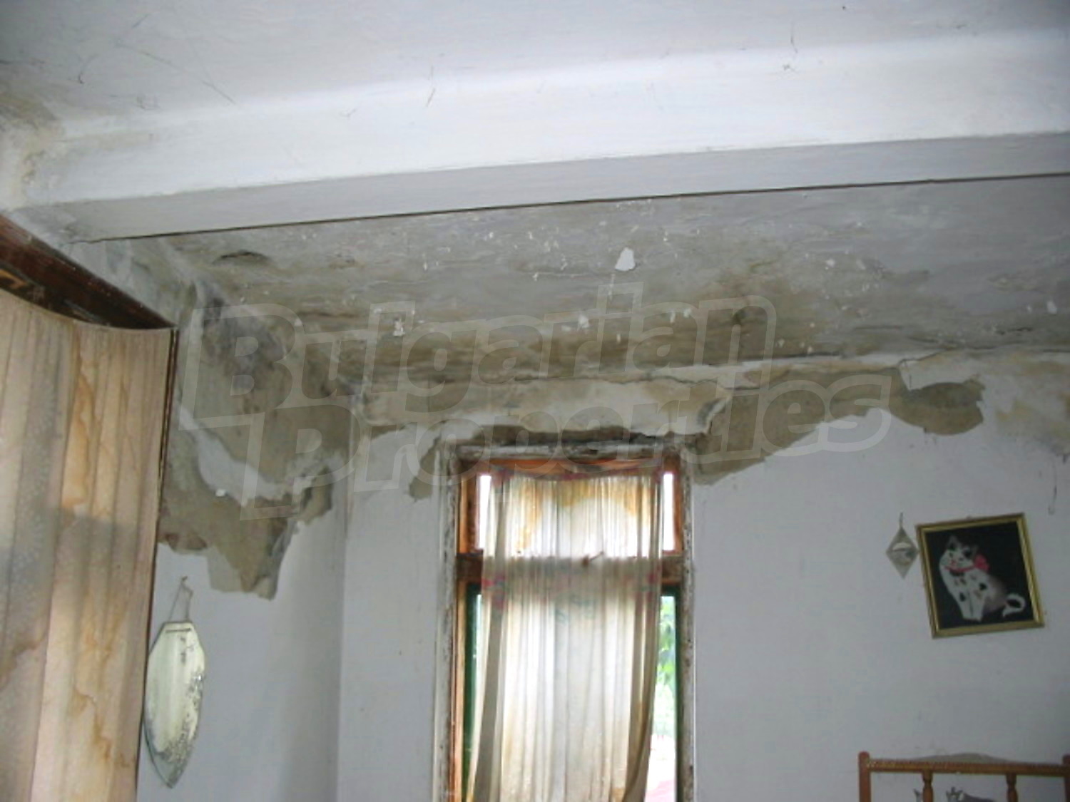 Gallery Picture 7