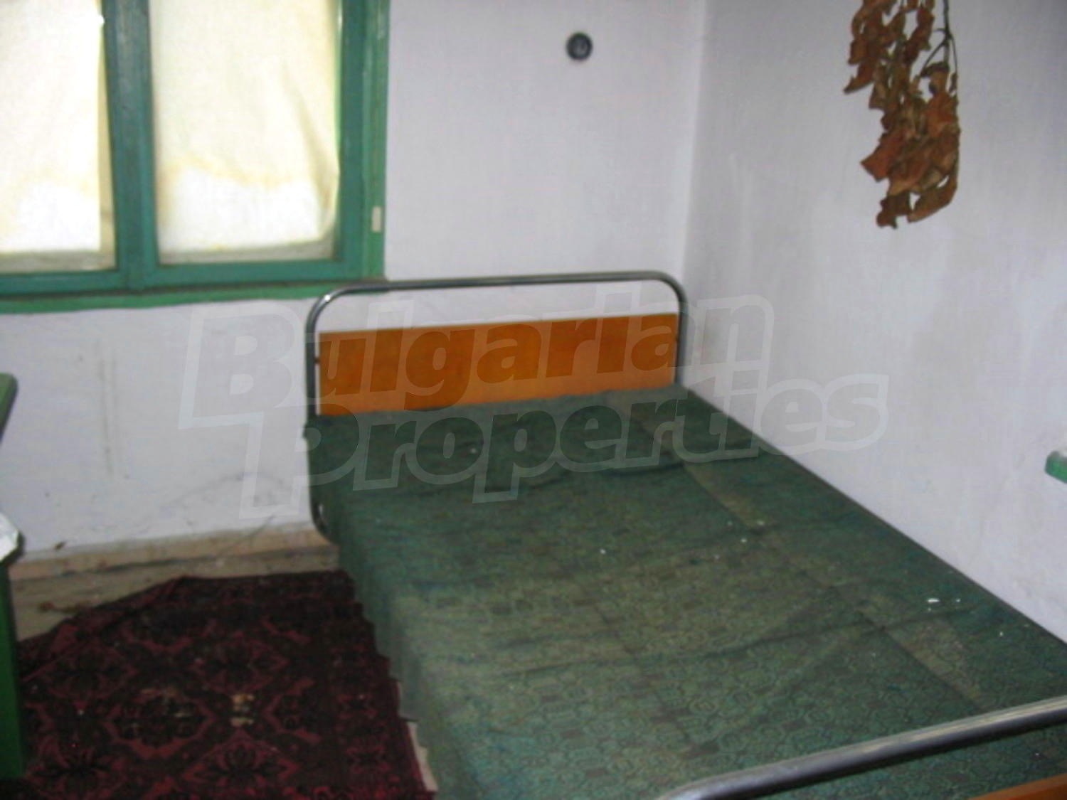 Gallery Picture 9