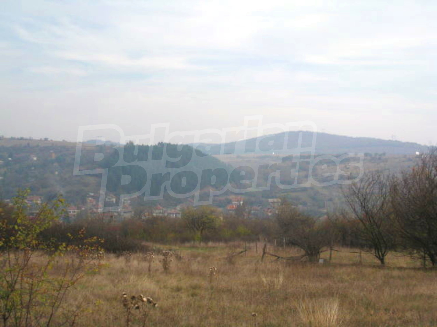 Gallery Picture 10