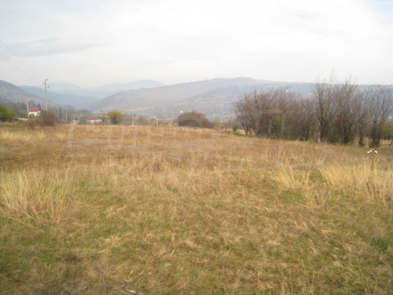 Gallery Picture 6