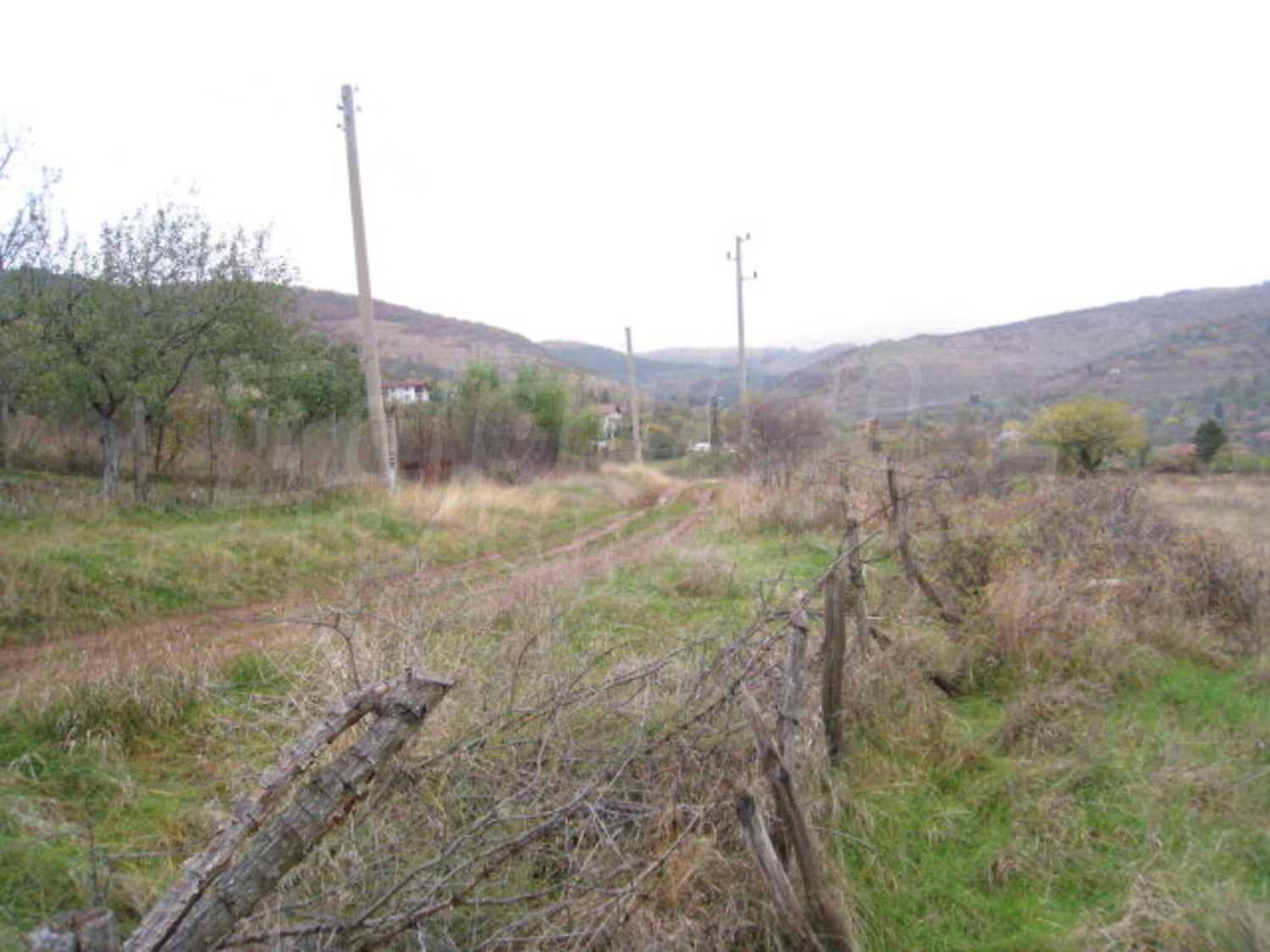 Gallery Picture 7