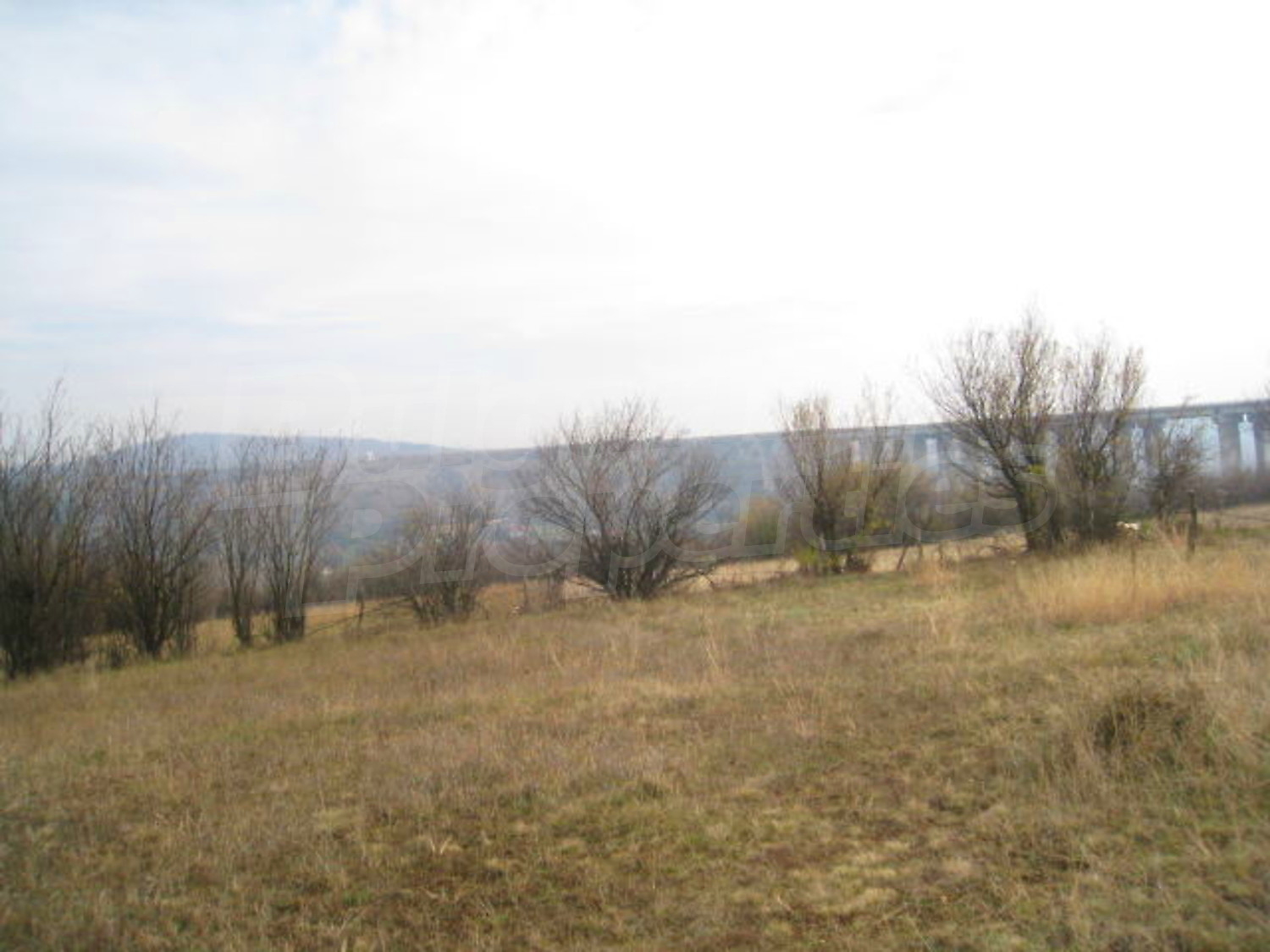 Gallery Picture 8