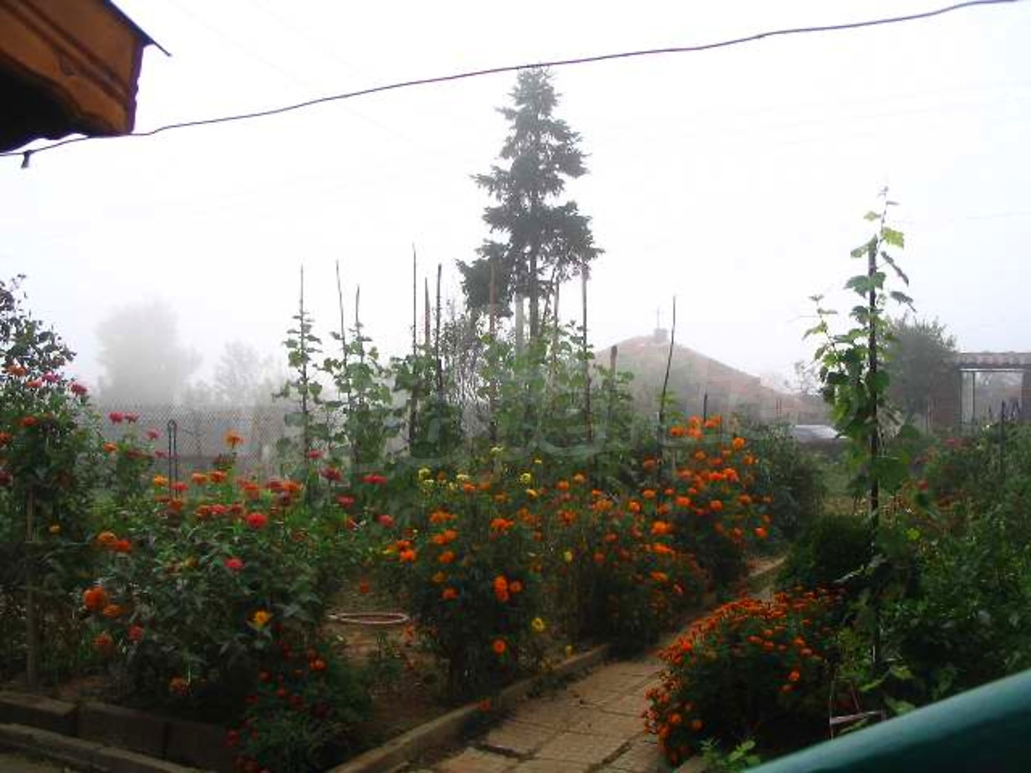 Gallery Picture 14