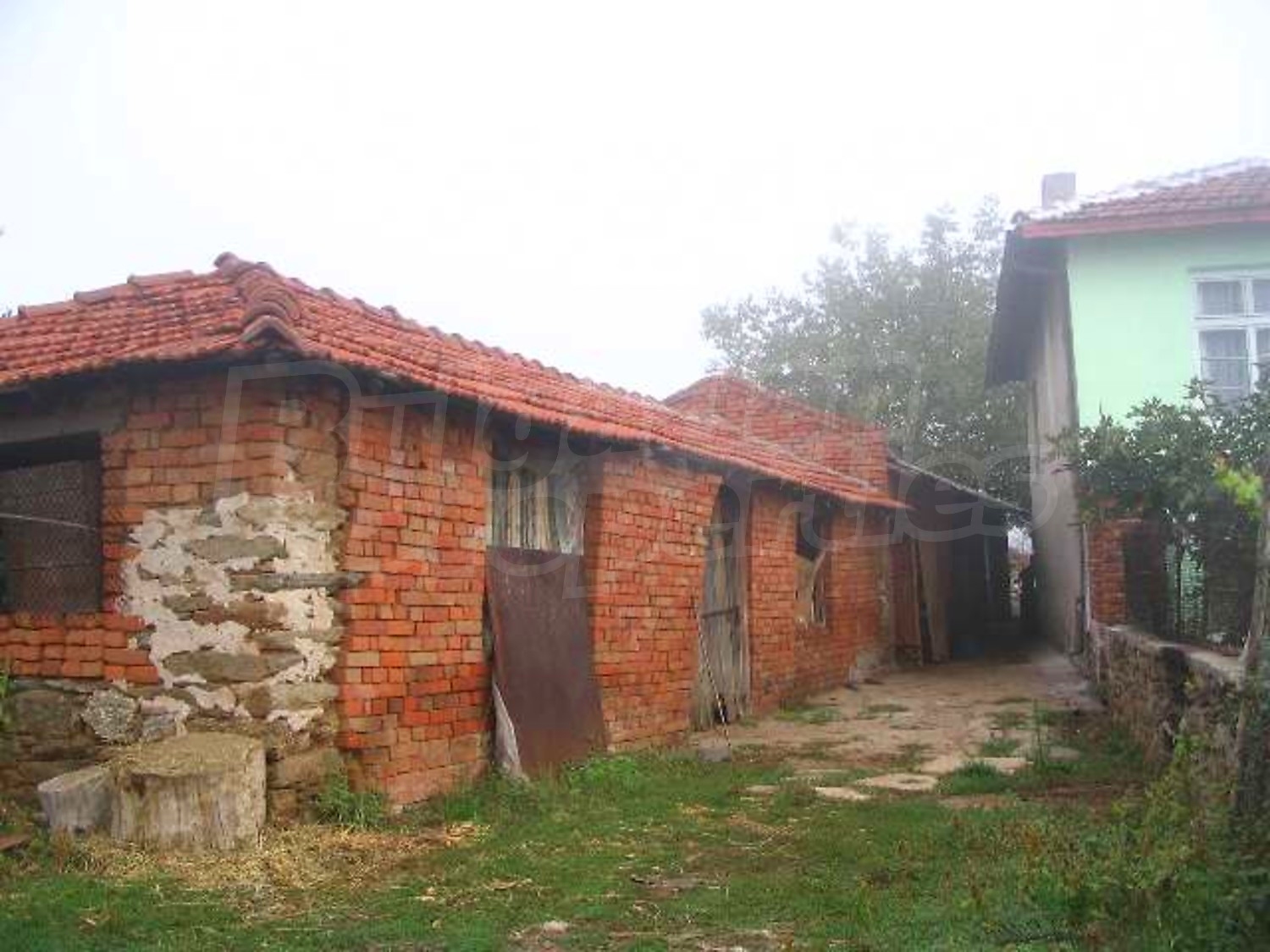 Gallery Picture 15