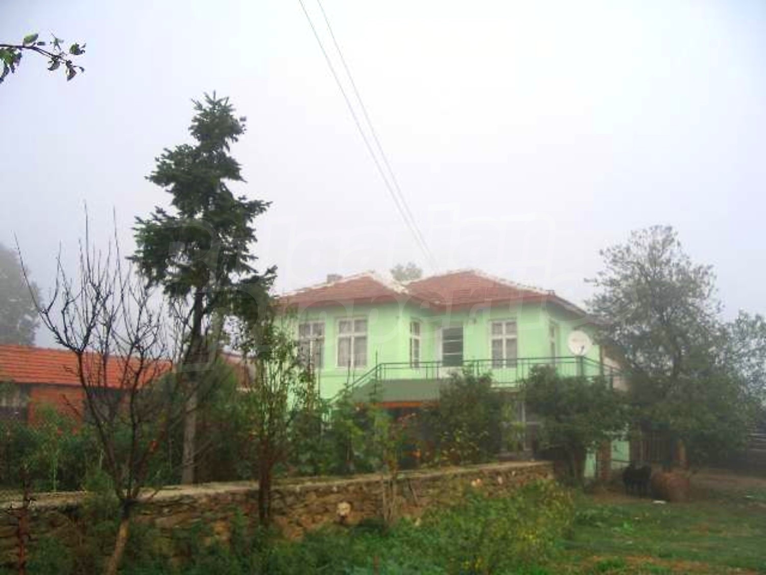 Gallery Picture 2