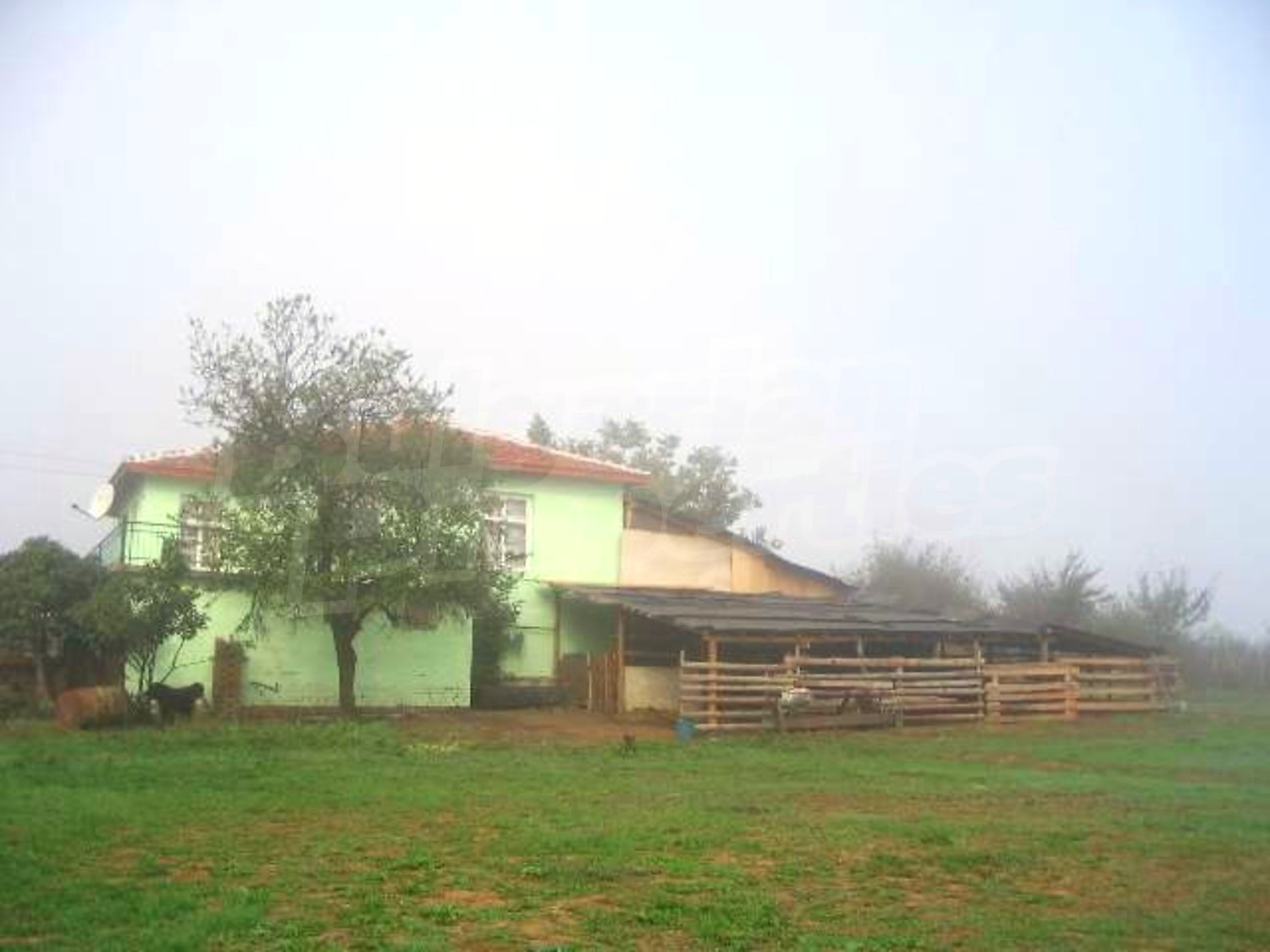 Gallery Picture 4