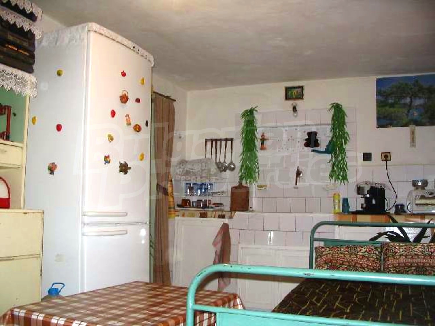 Gallery Picture 5
