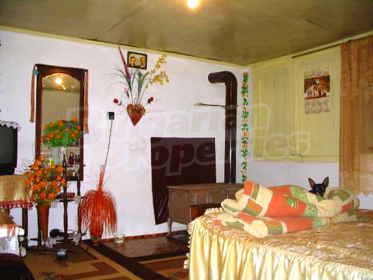 Gallery Picture 9