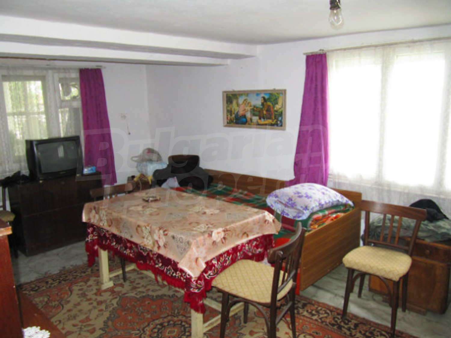Gallery Picture 19