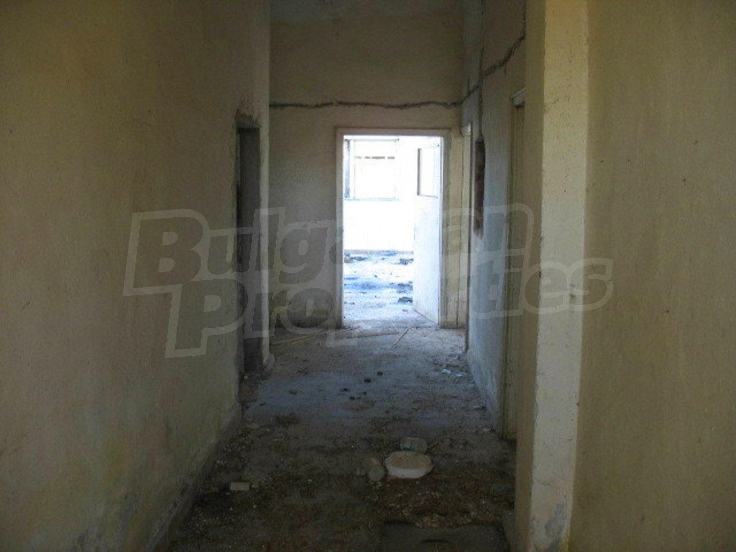 Gallery Picture 10