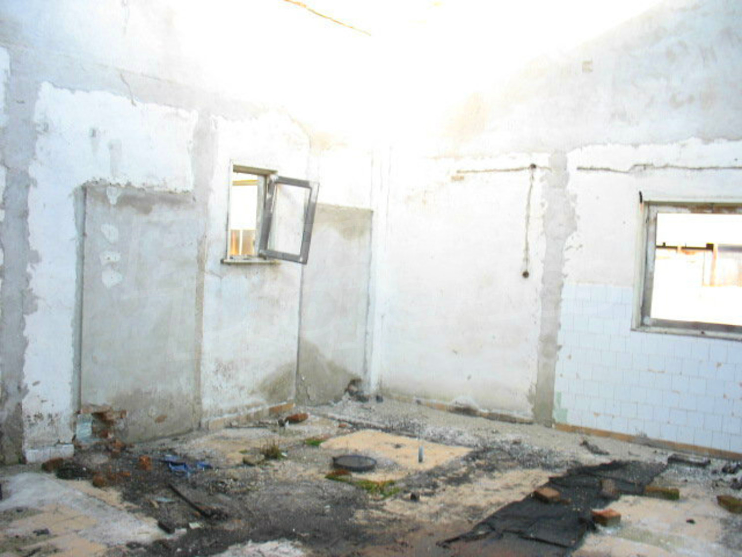 Gallery Picture 11
