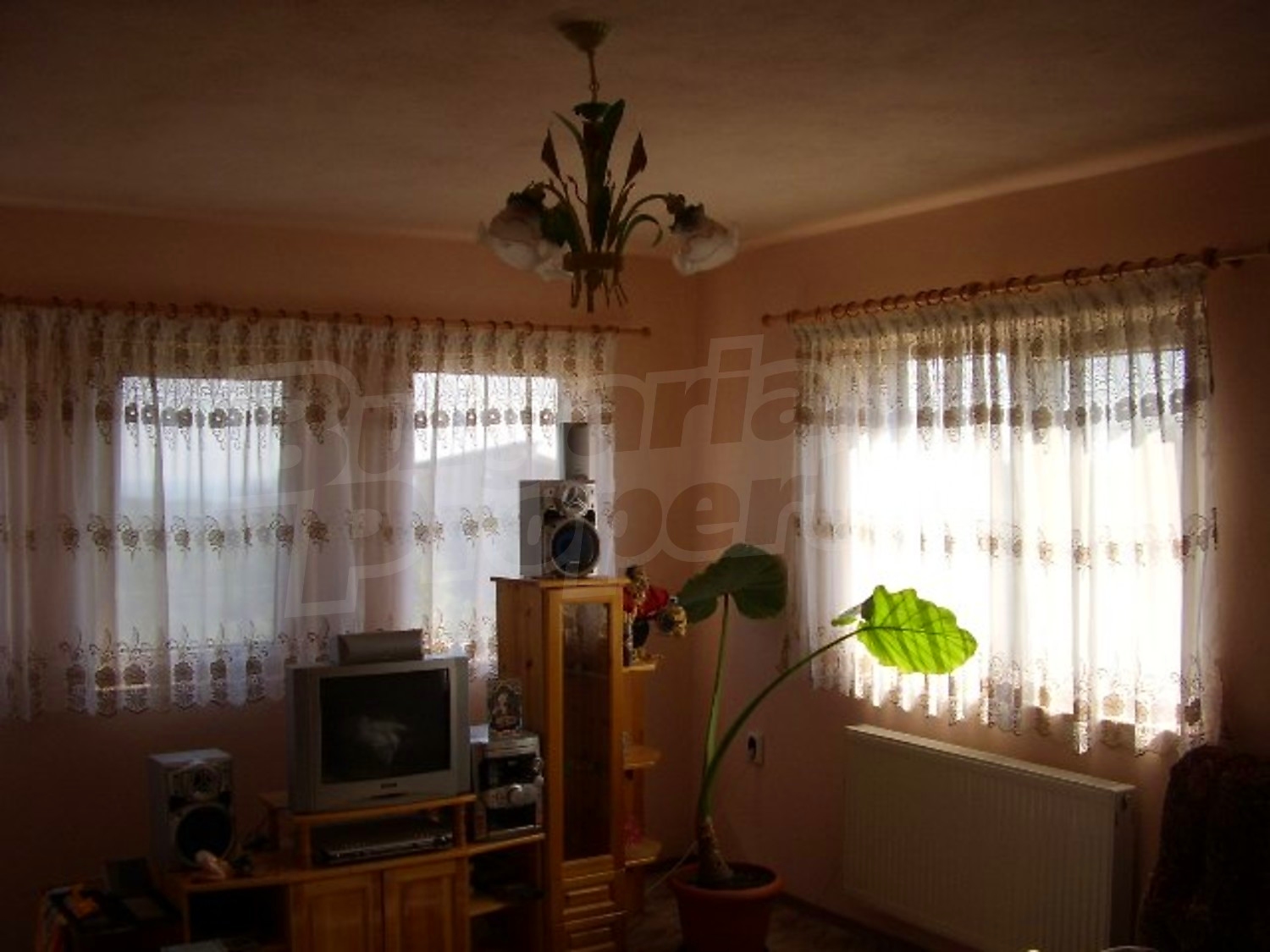 Gallery Picture 17