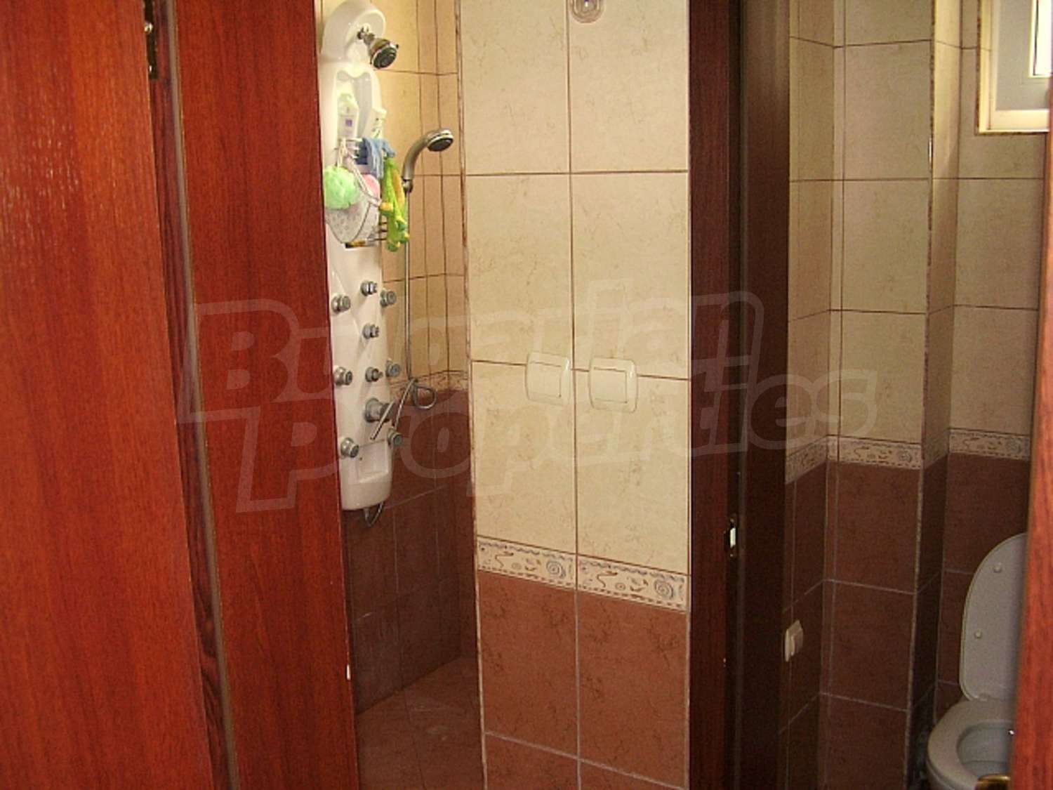 Gallery Picture 17