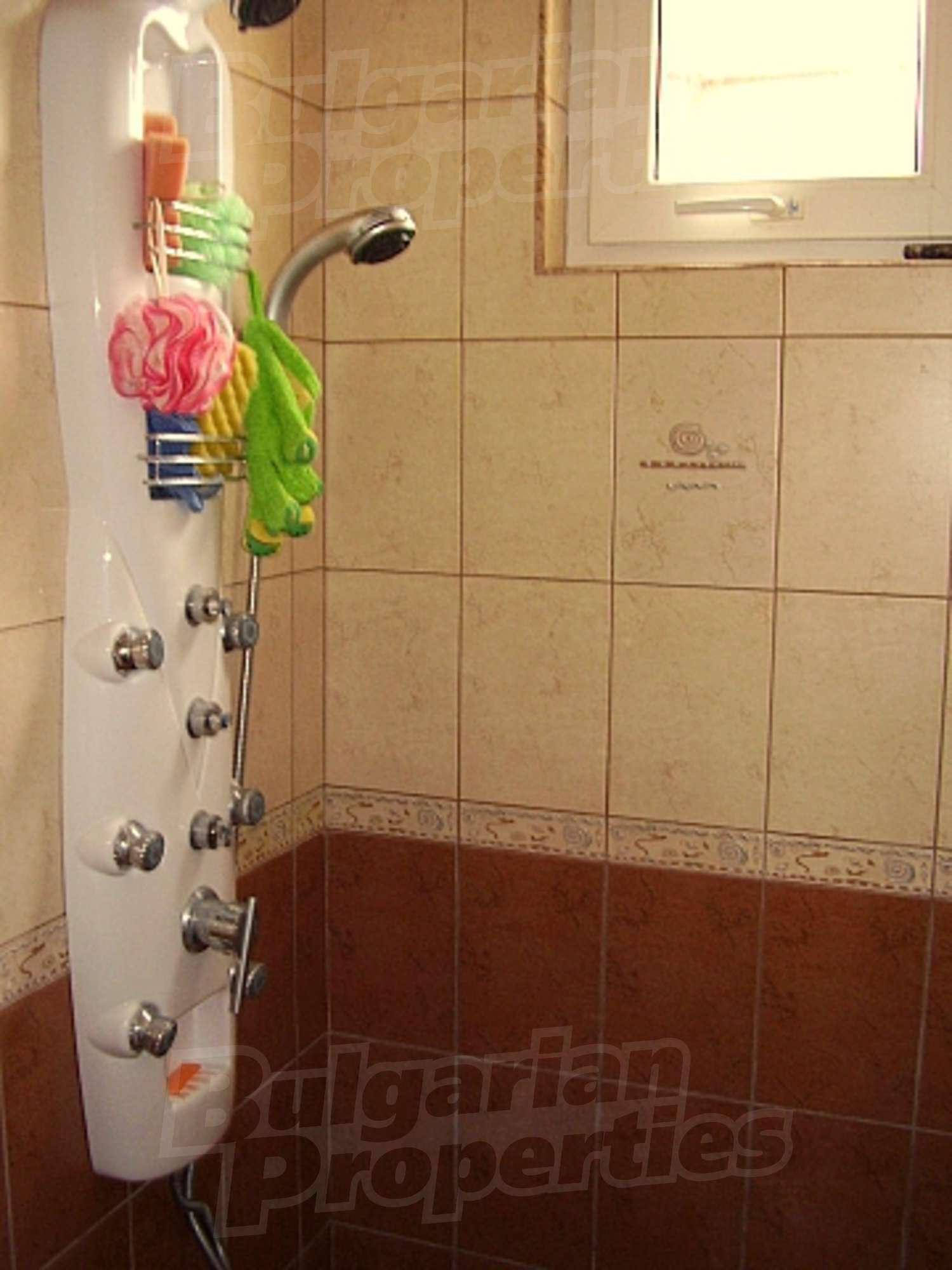 Gallery Picture 18