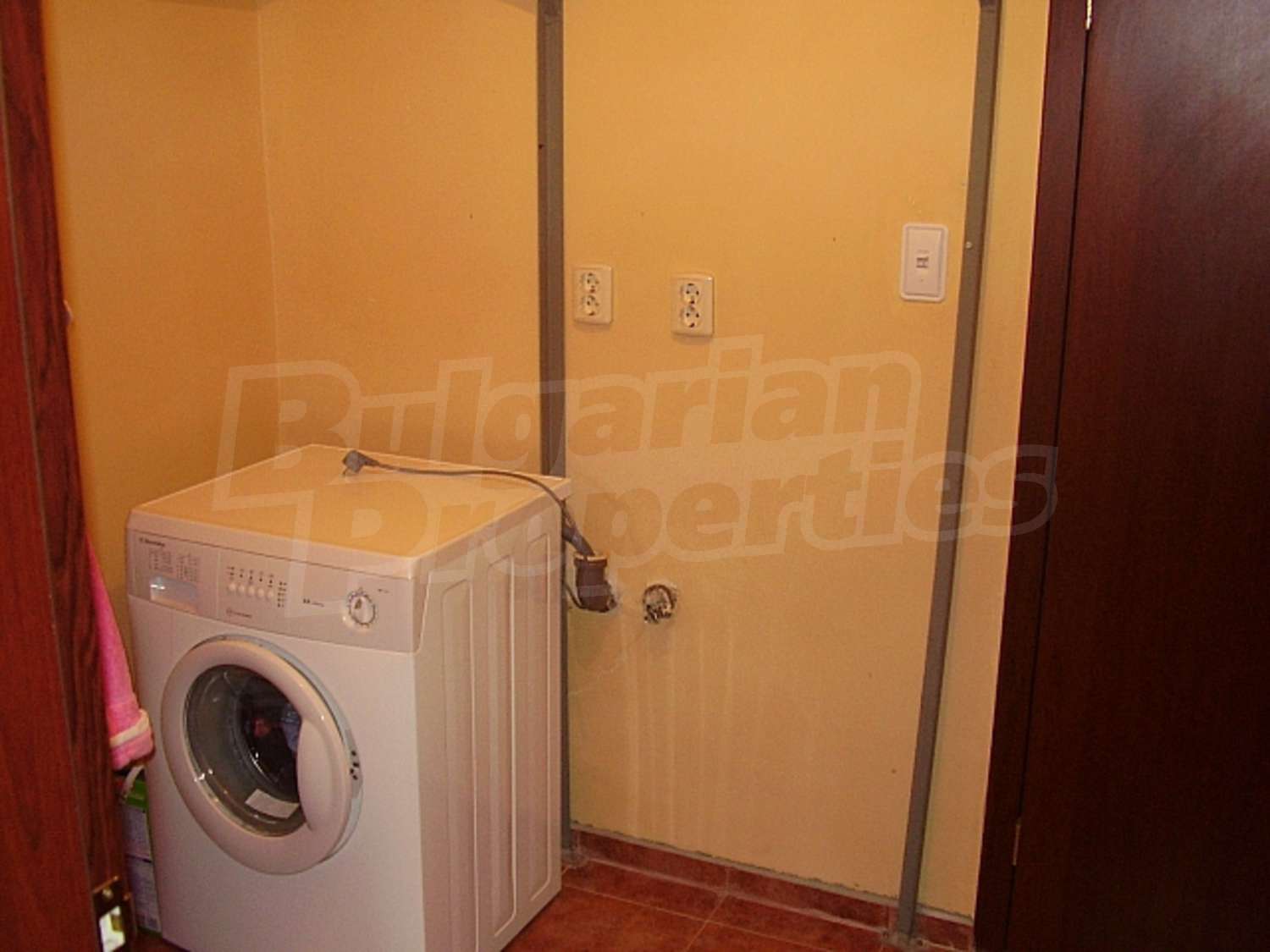 Gallery Picture 19