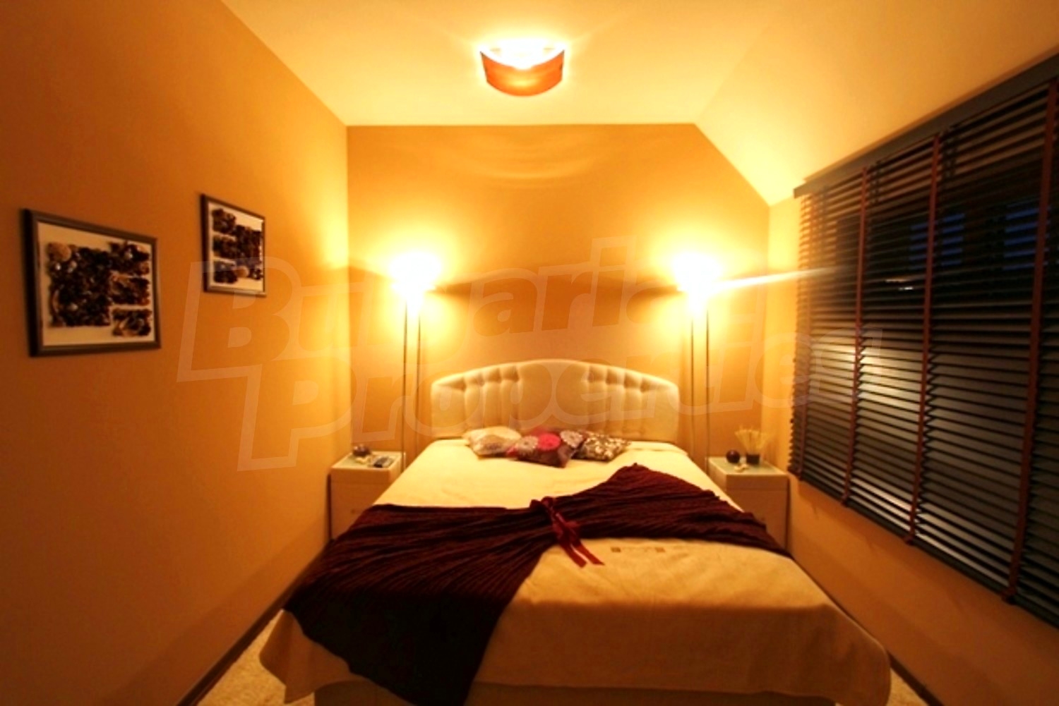 Gallery Picture 29