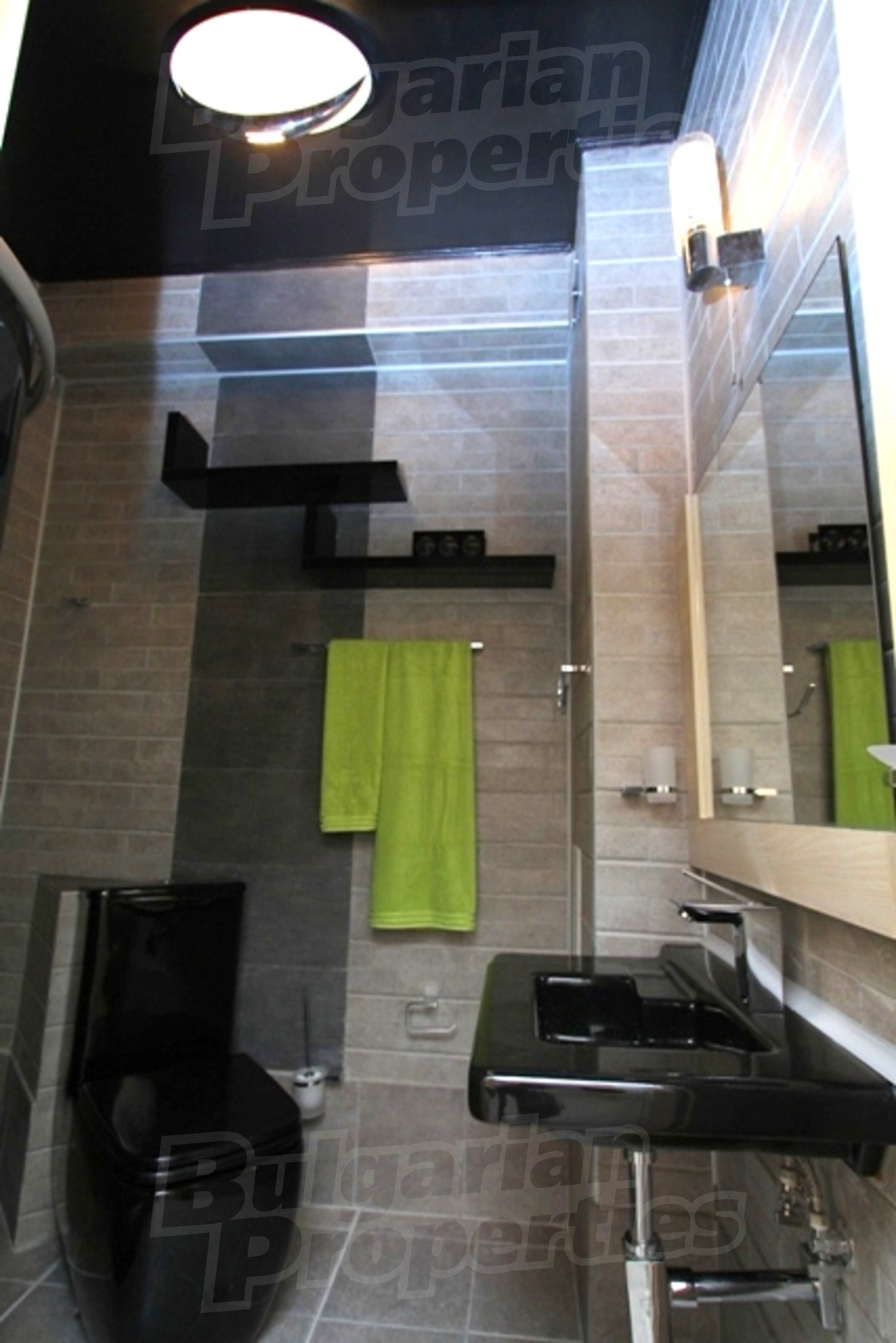 Gallery Picture 41