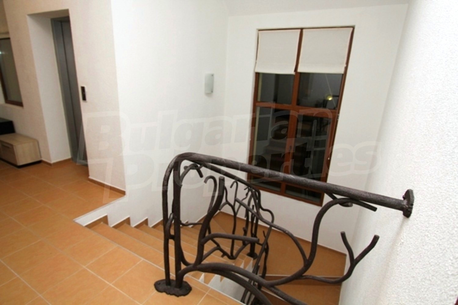 Gallery Picture 63