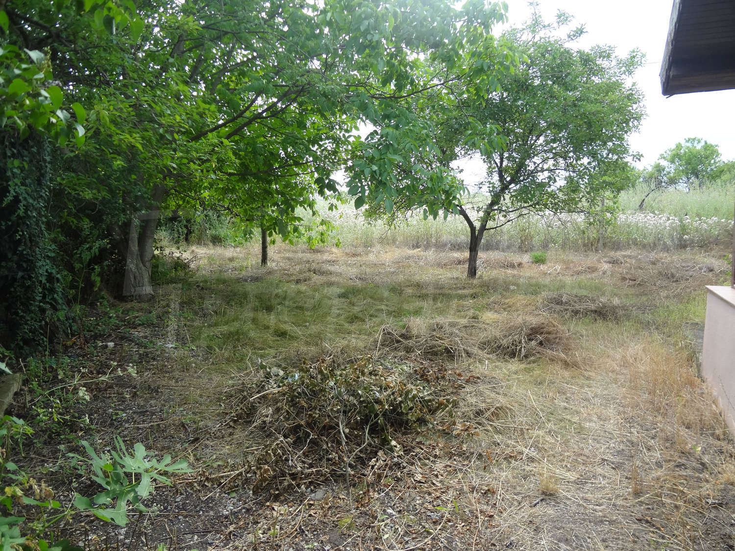 Gallery Picture 12