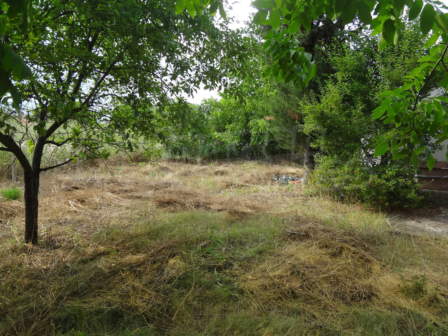 Gallery Picture 16