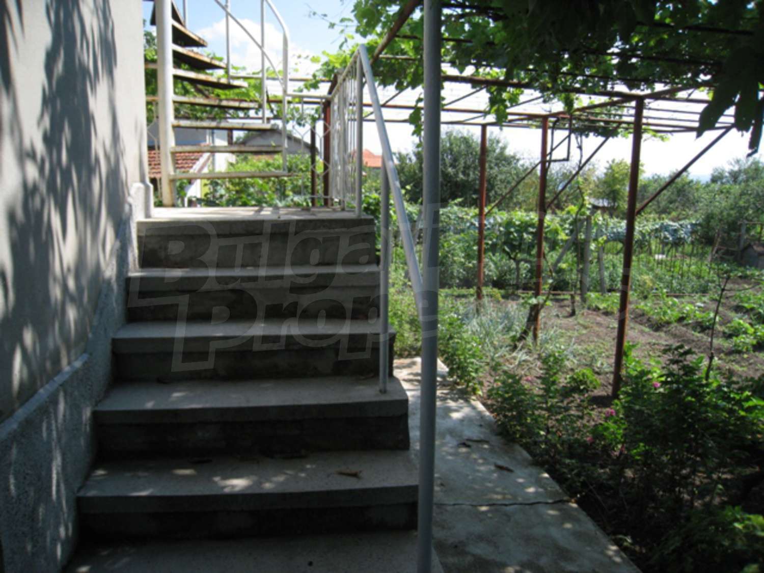 Gallery Picture 5