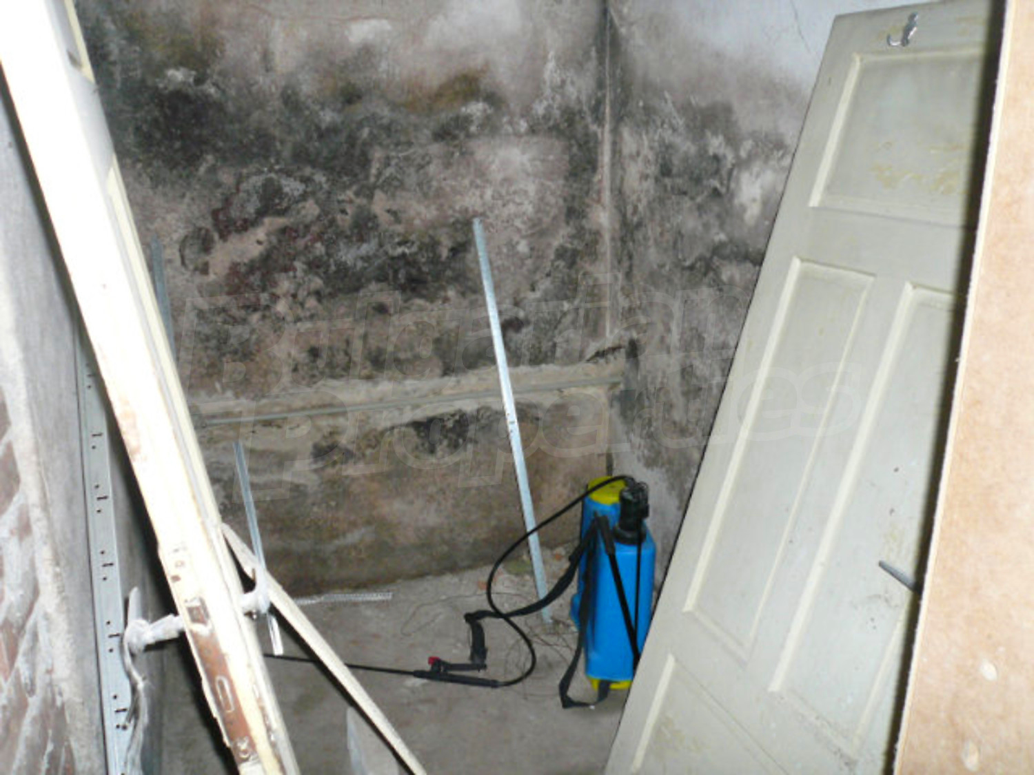 Gallery Picture 16