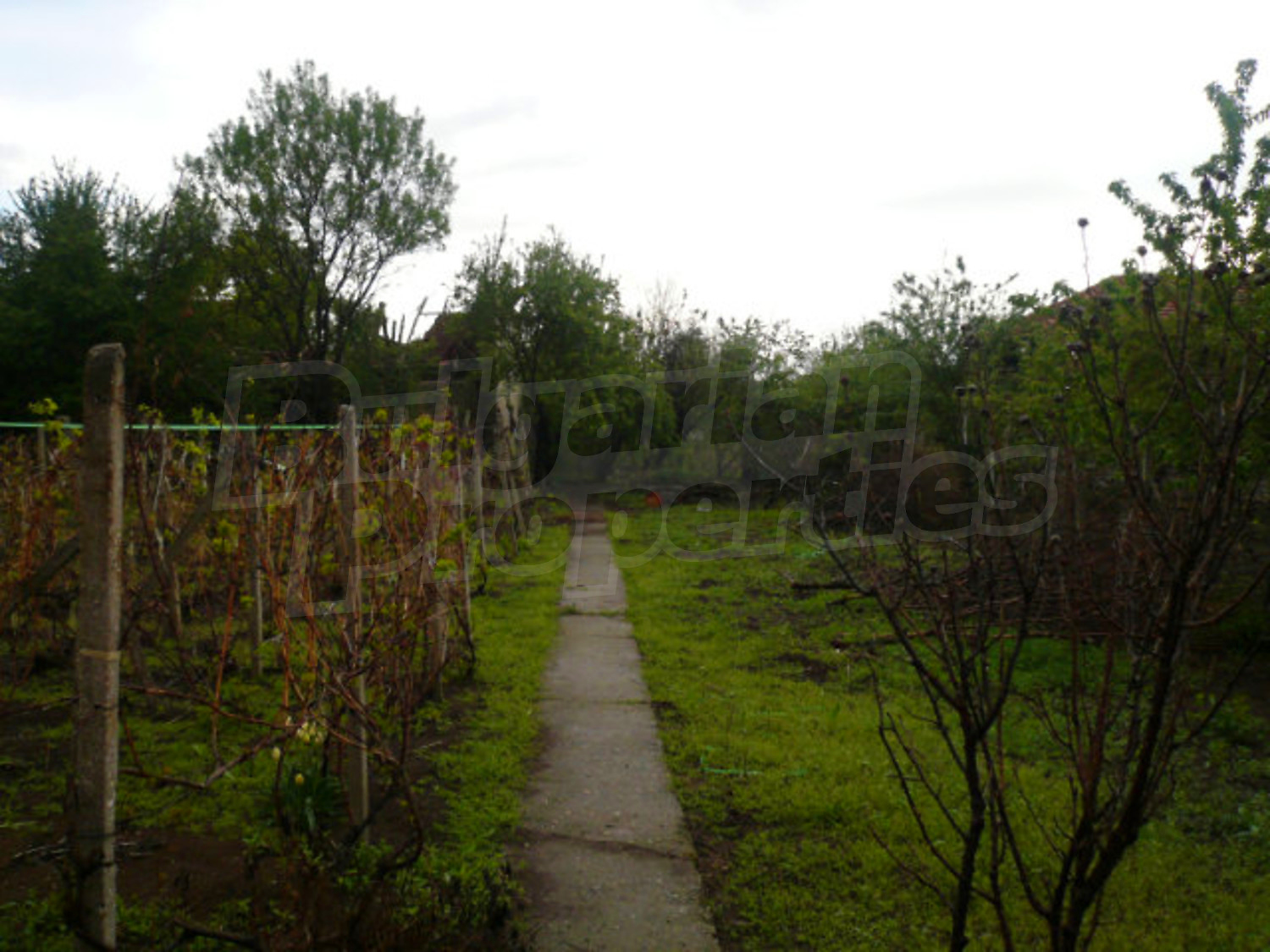 Gallery Picture 18