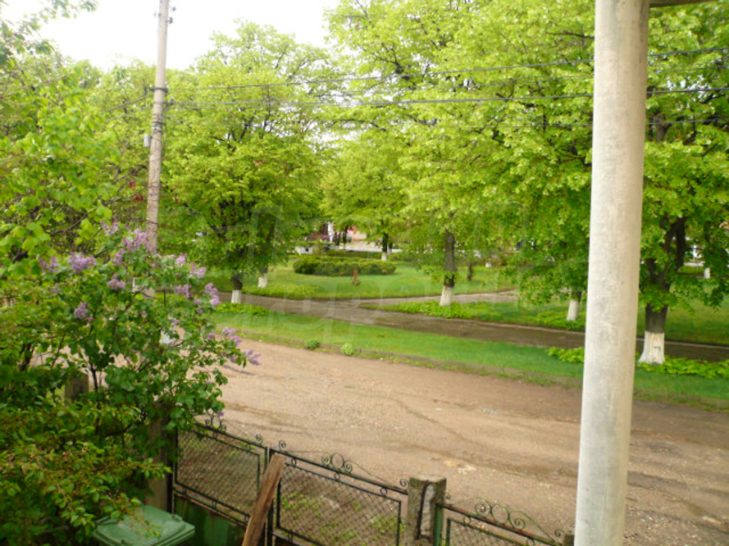 Gallery Picture 20