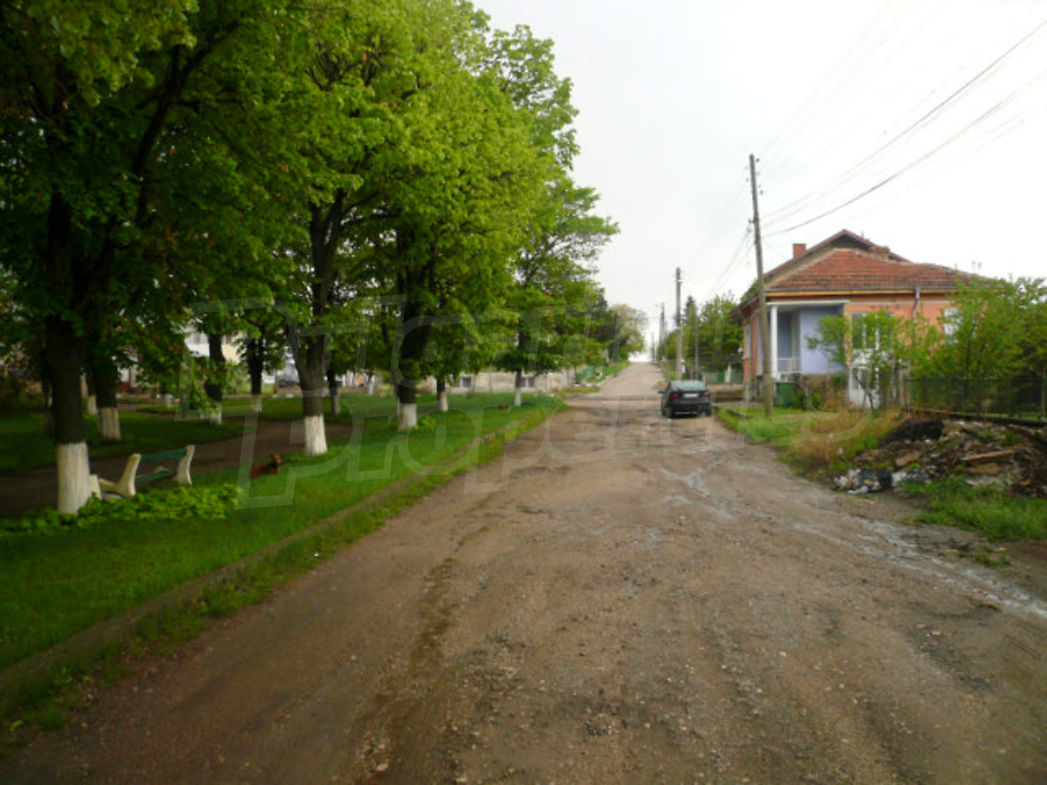 Gallery Picture 23