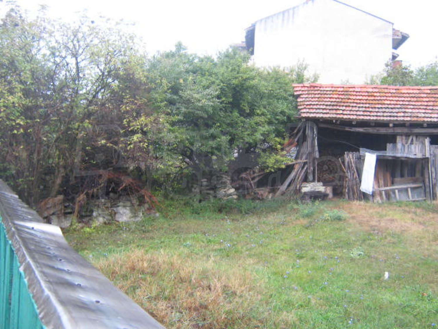 Gallery Picture 10