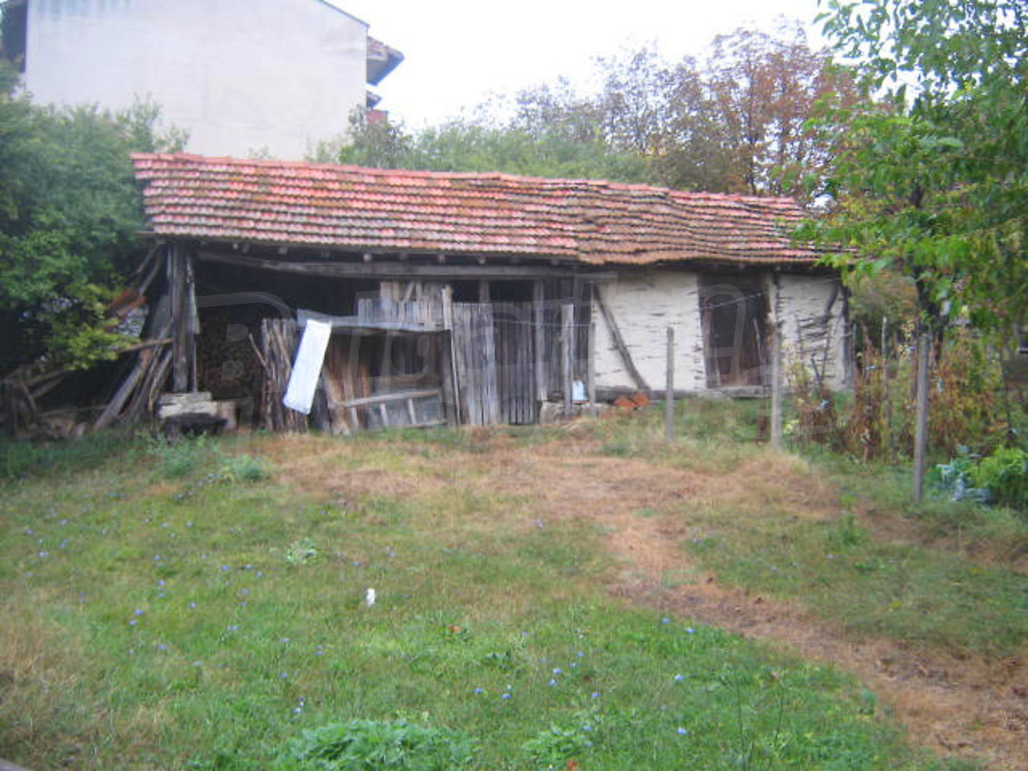 Gallery Picture 11
