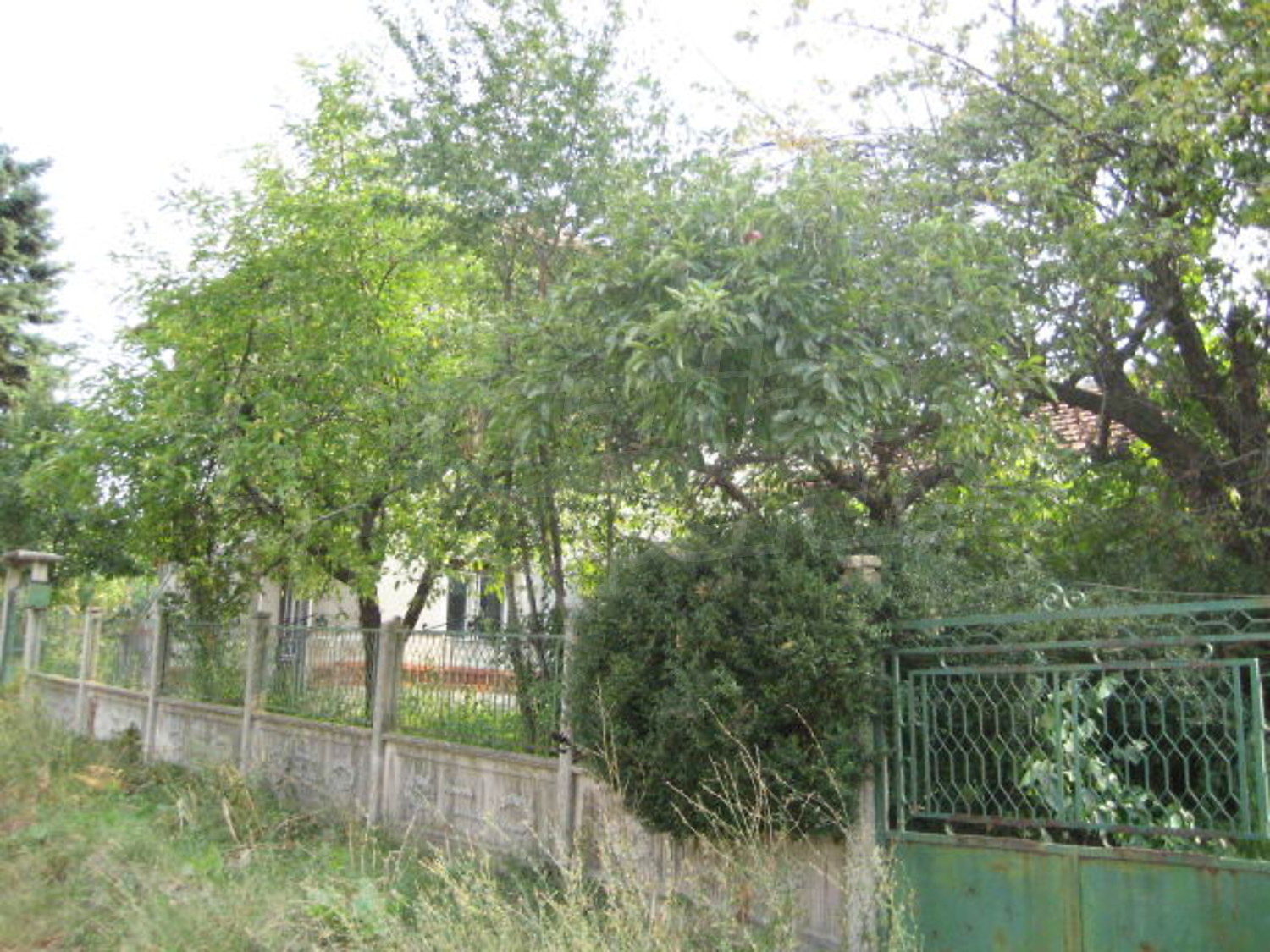Gallery Picture 16