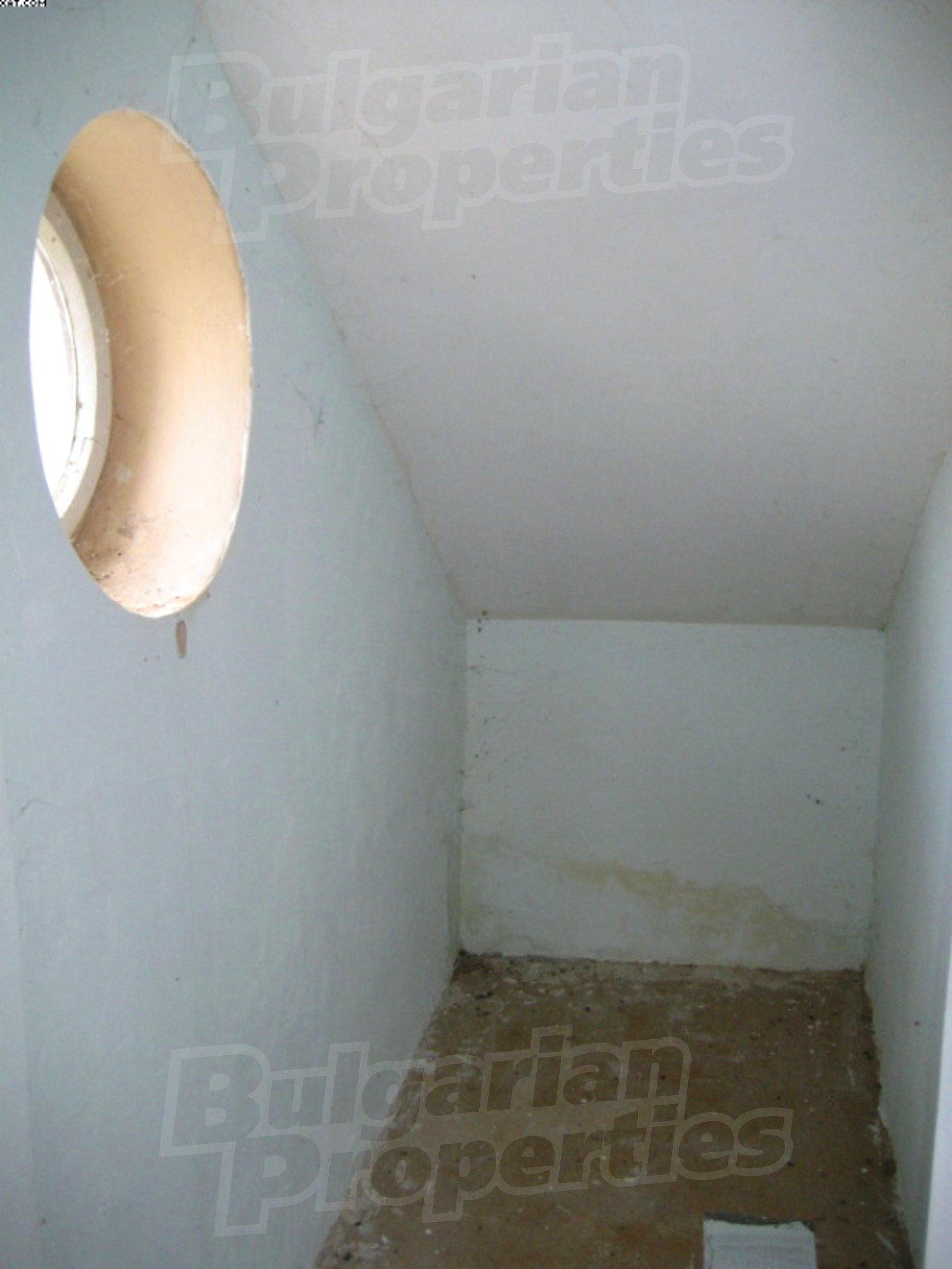 Gallery Picture 5