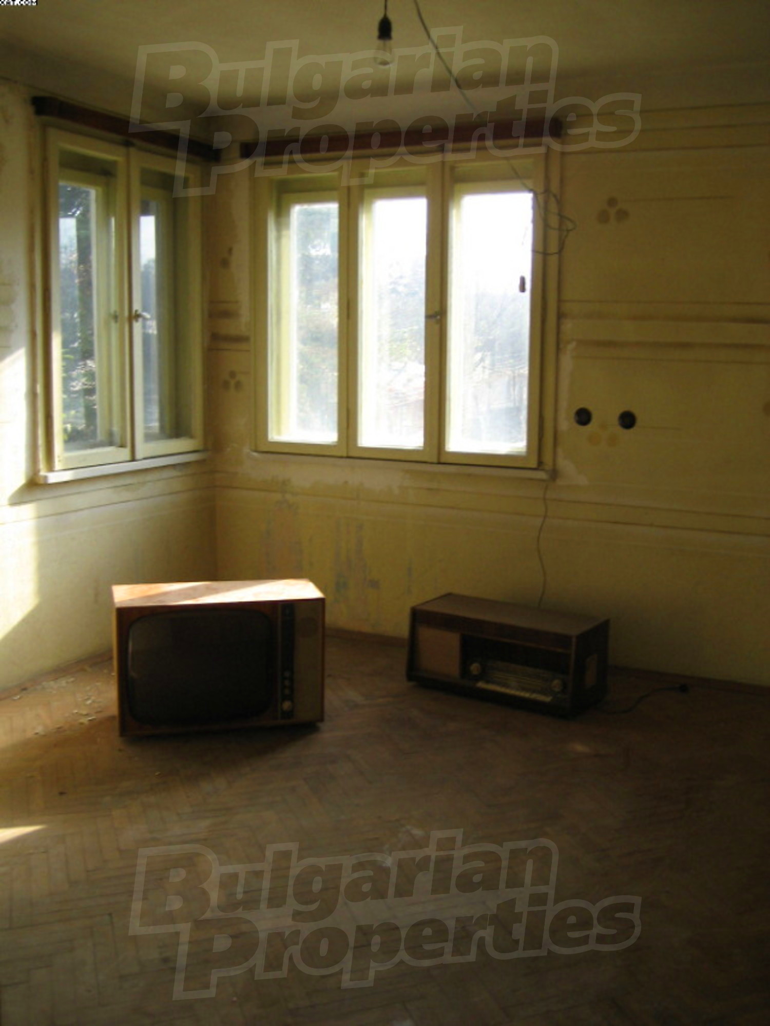 Gallery Picture 9