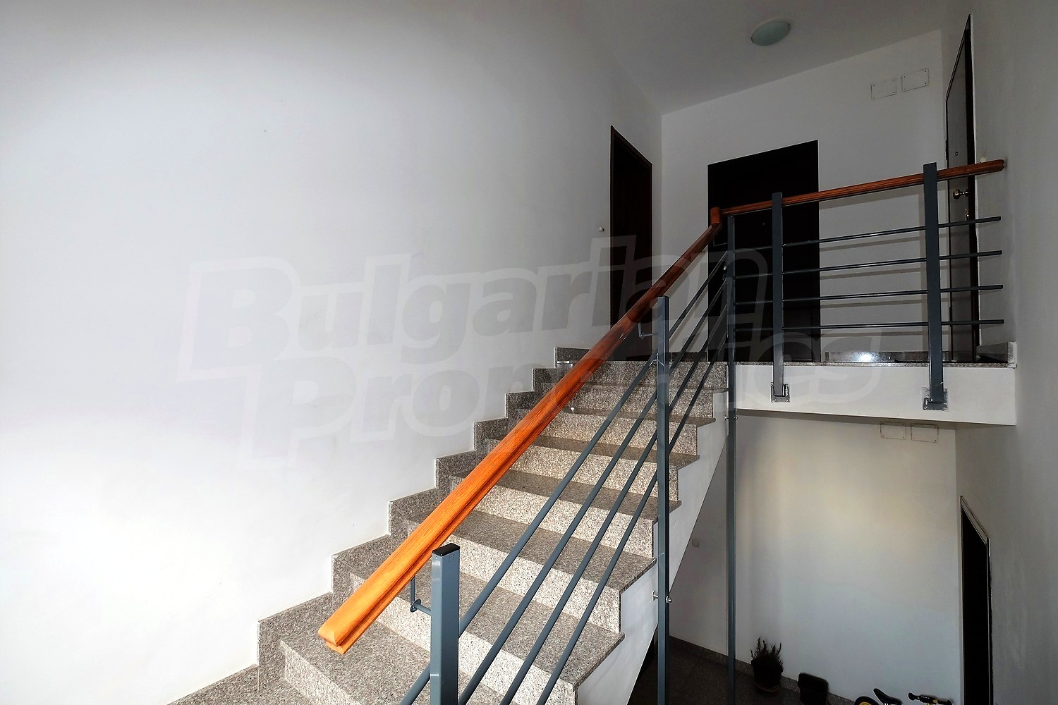 Gallery Picture 27