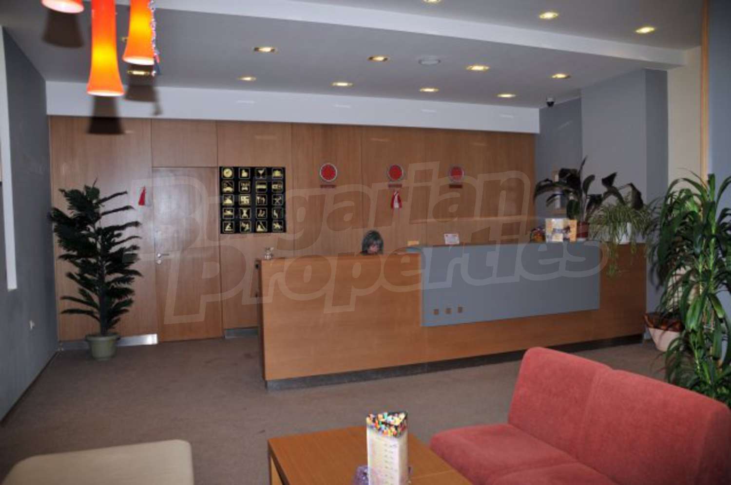 Gallery Picture 14