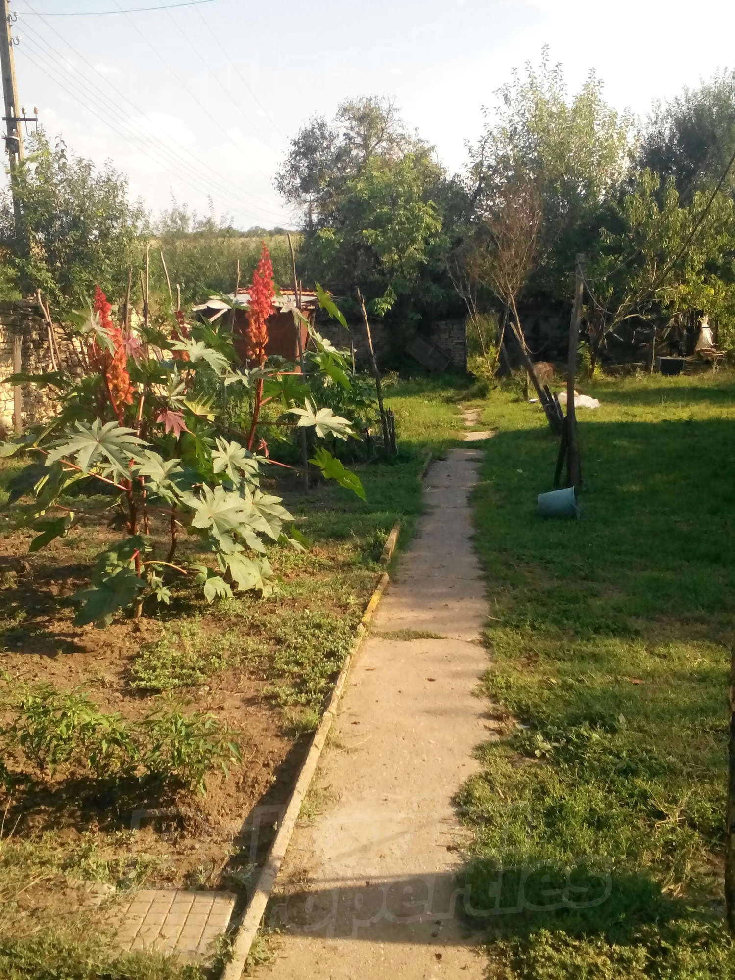 Gallery Picture 10