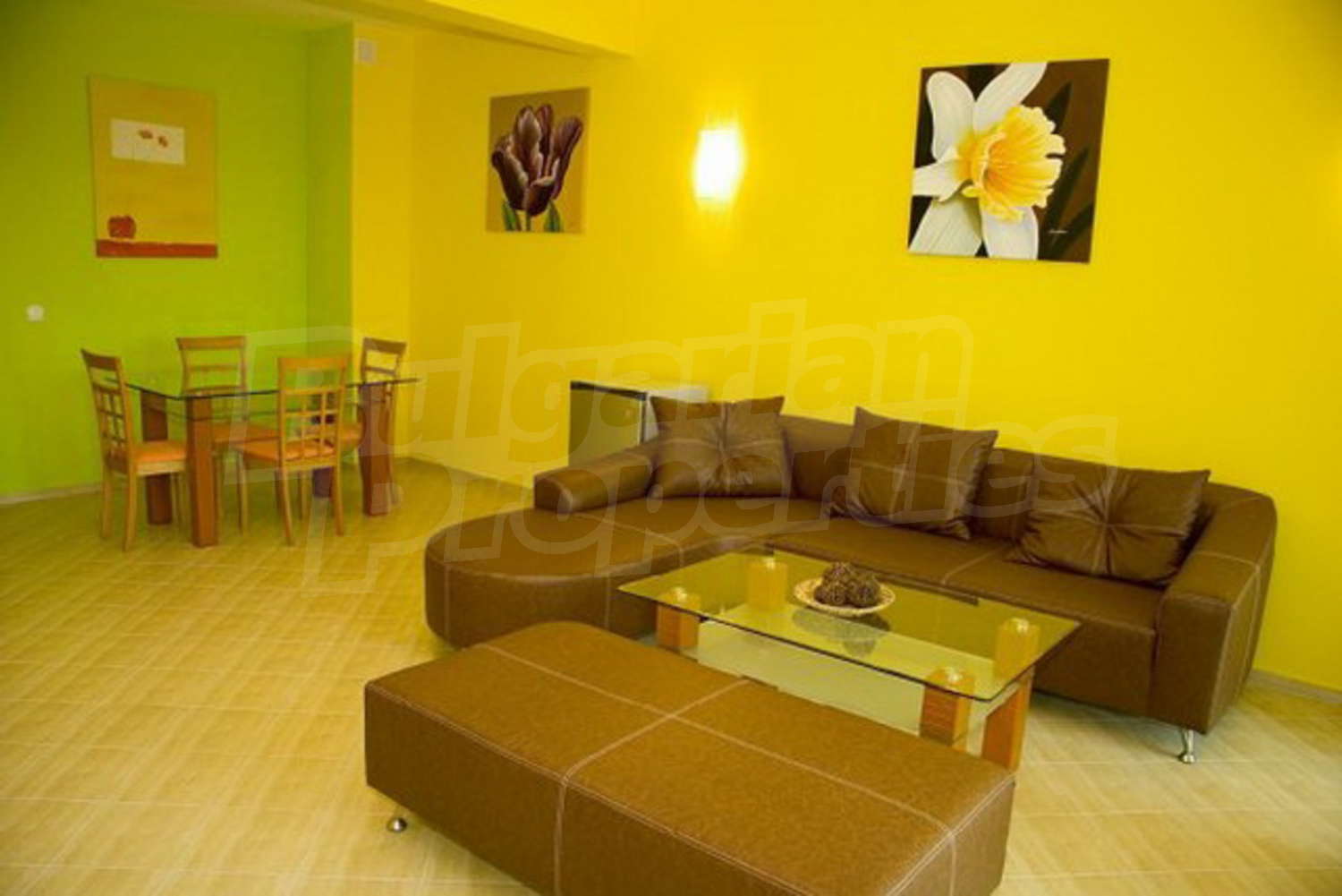 Gallery Picture 11