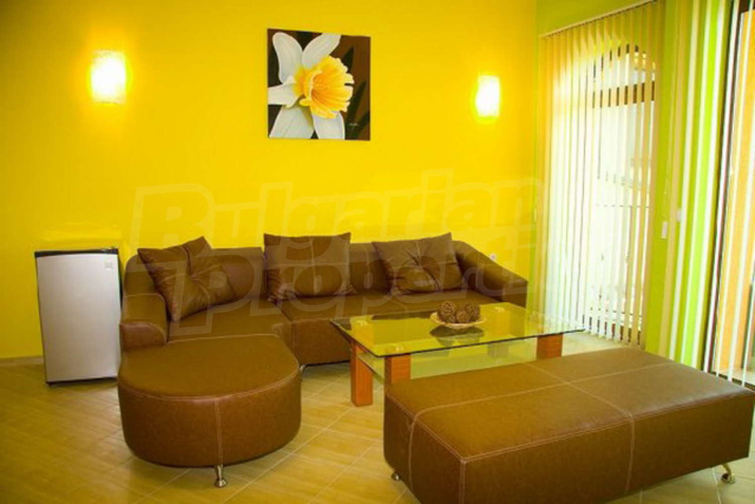 Gallery Picture 8