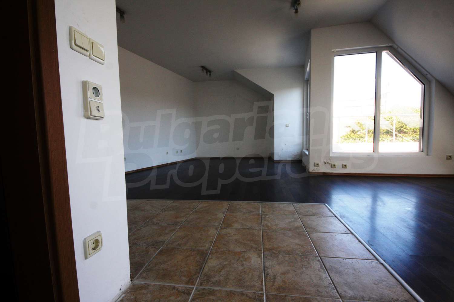 Gallery Picture 18