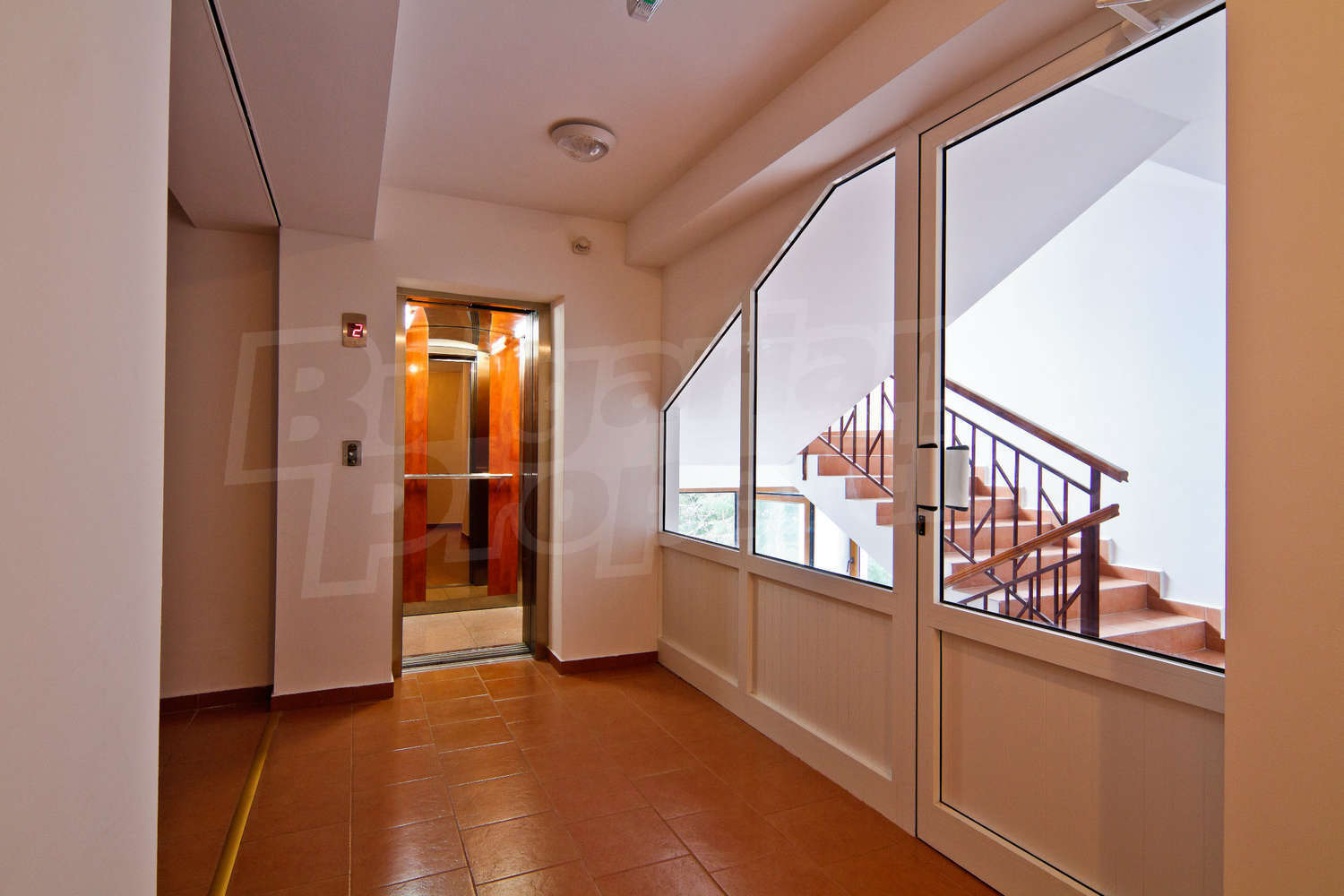 Gallery Picture 38