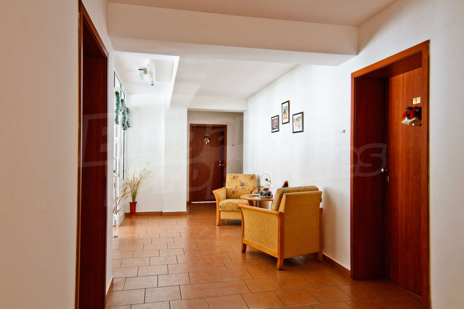 Gallery Picture 39