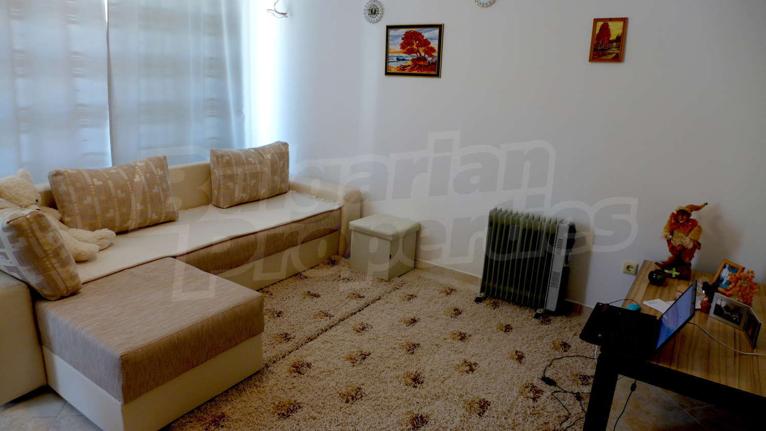 Gallery Picture 17
