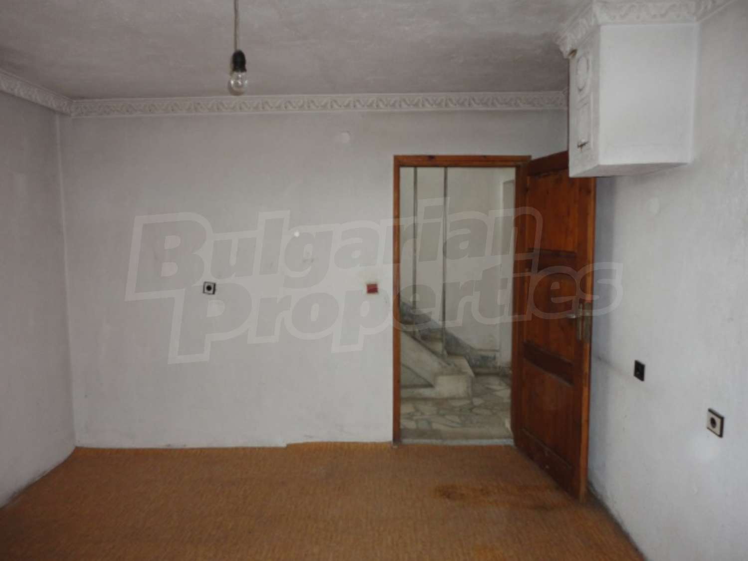 Gallery Picture 15
