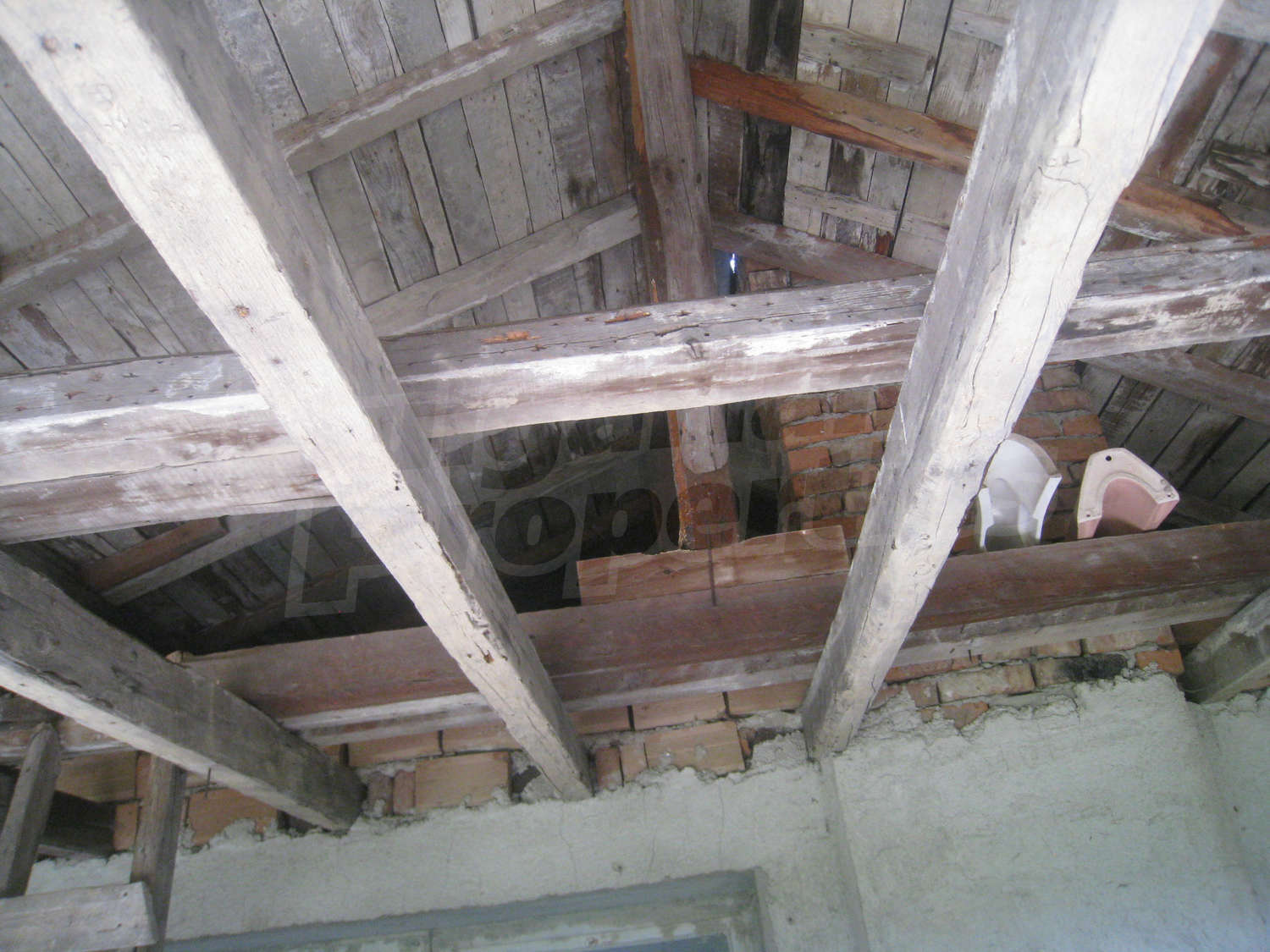 Gallery Picture 40