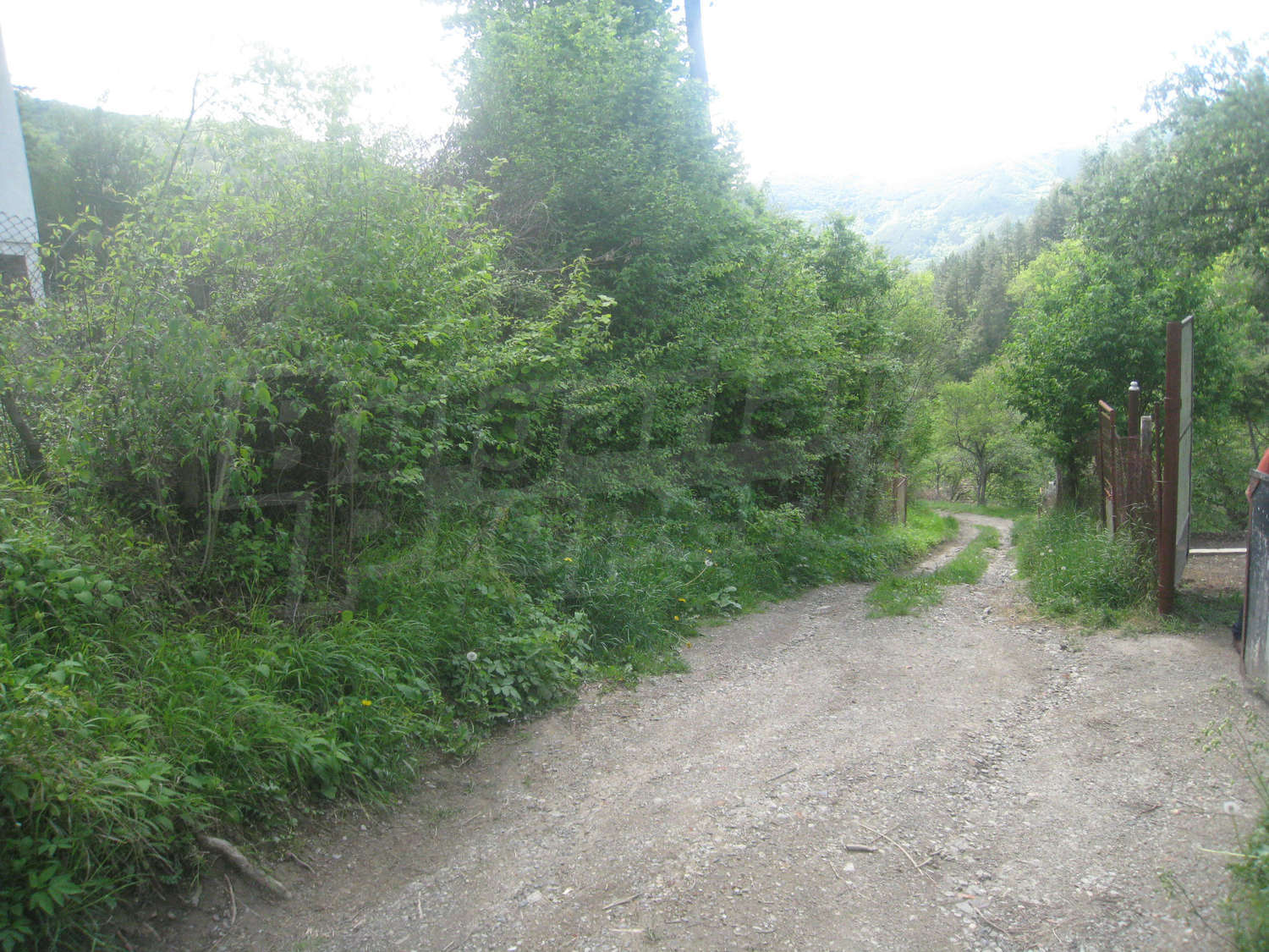 Gallery Picture 53