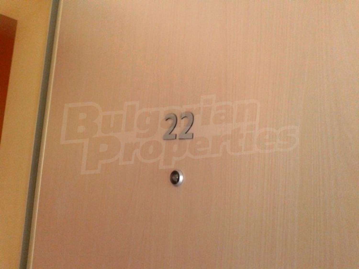 Gallery Picture 26