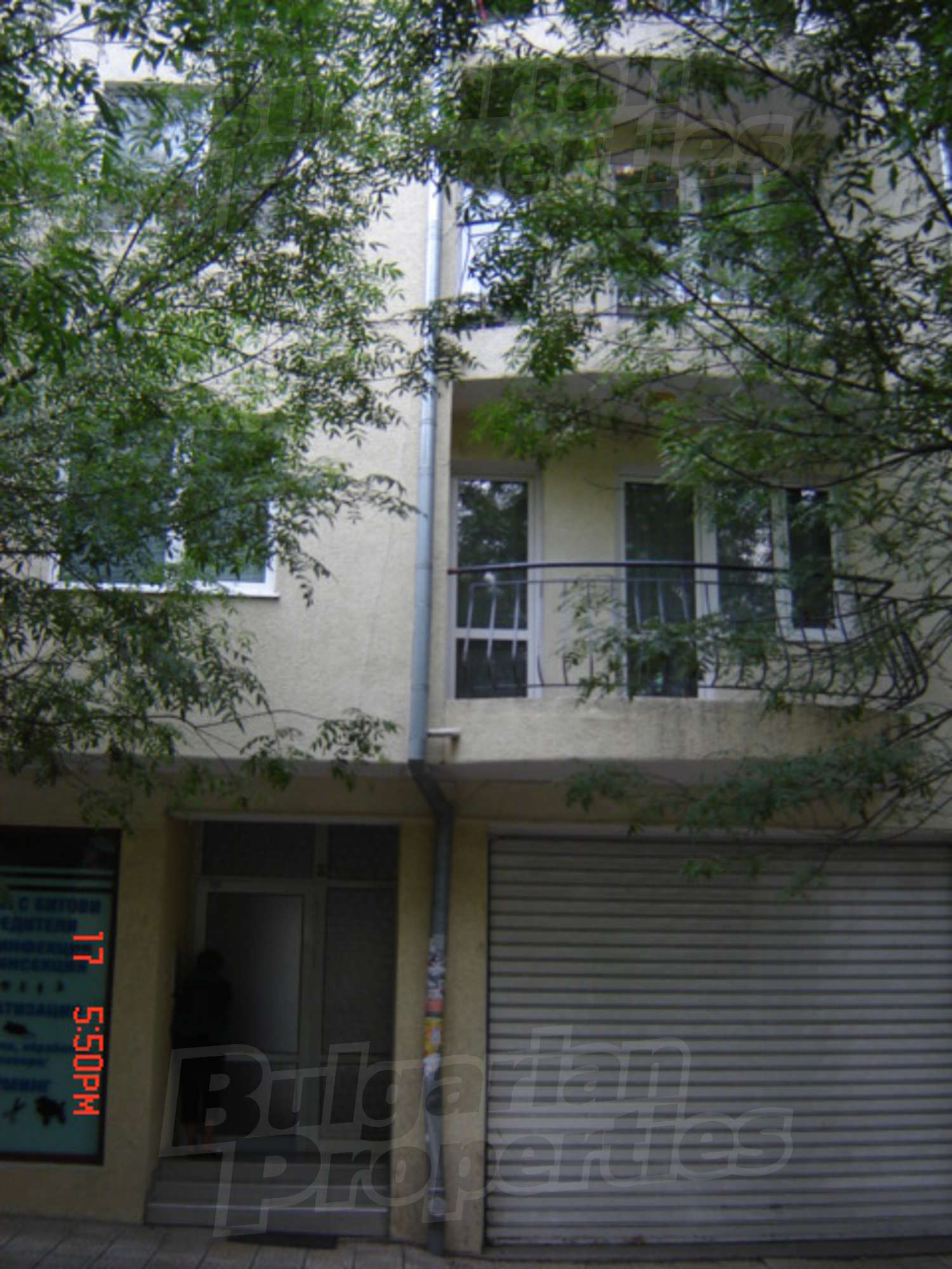 Gallery Picture 5