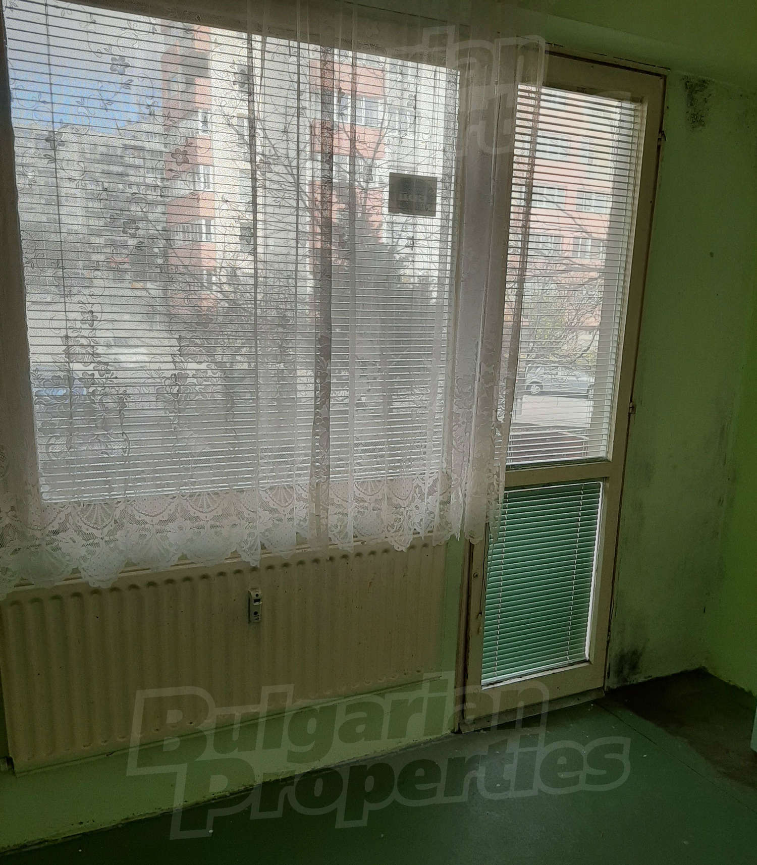 Gallery Picture 14